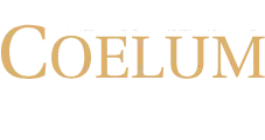 logo Coelum